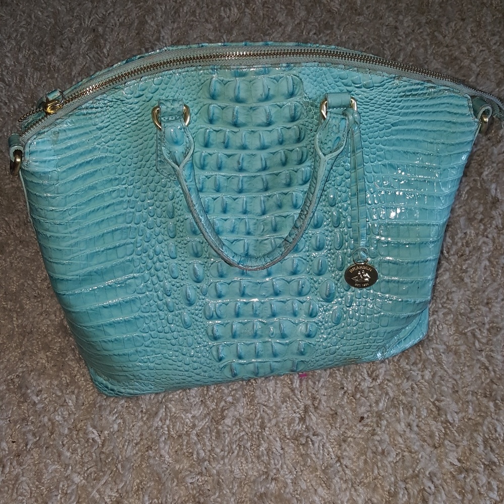 Large Brahmin purse